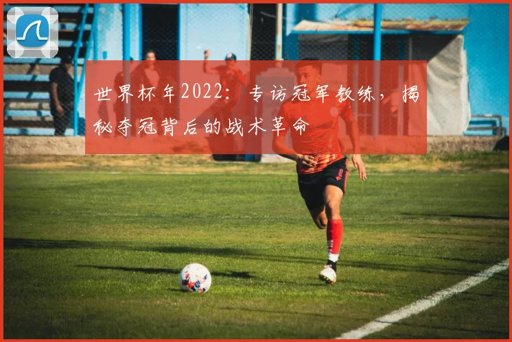 世界杯年2022：专访冠军教练，揭秘夺冠背后的战术革命