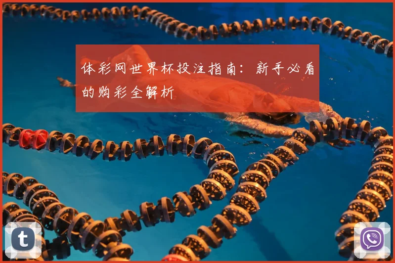体彩网世界杯投注指南:新手必看的购彩全解析
