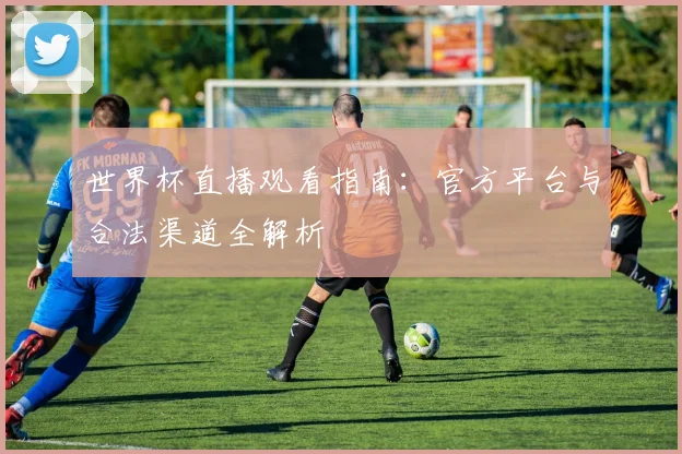 世界杯直播观看指南:官方平台与合法渠道全解析