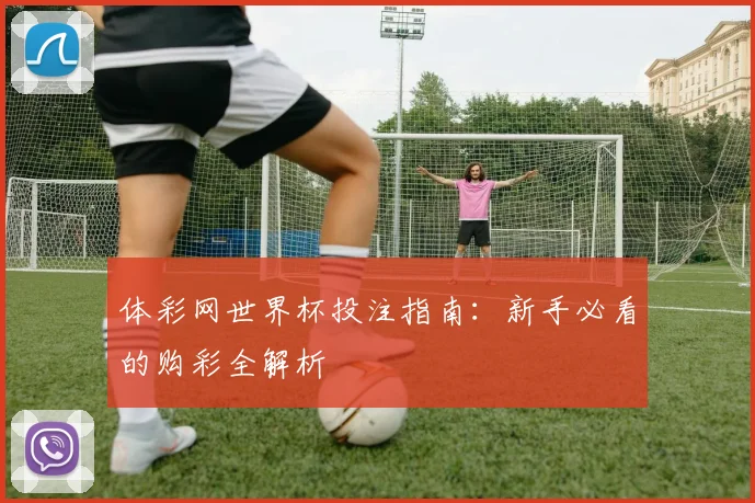 体彩网世界杯投注指南:新手必看的购彩全解析