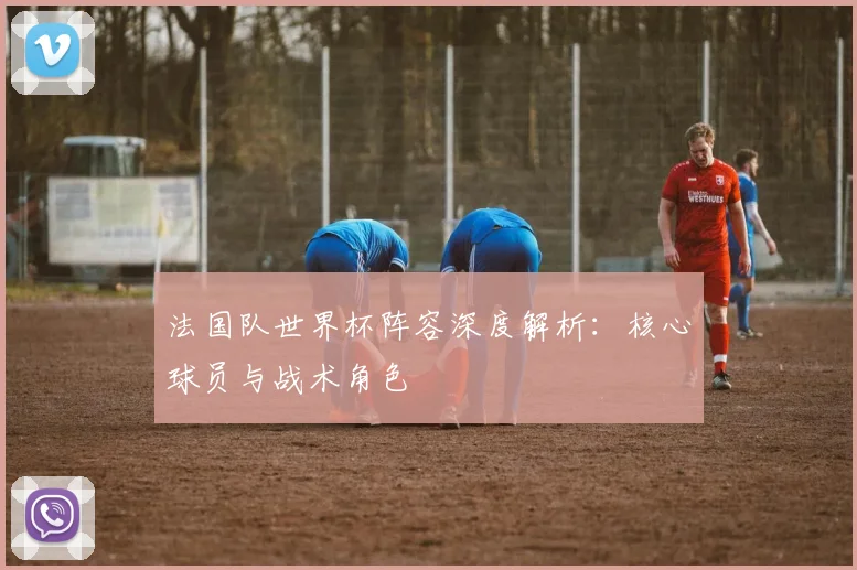法国队世界杯阵容深度解析：核心球员与战术角色
