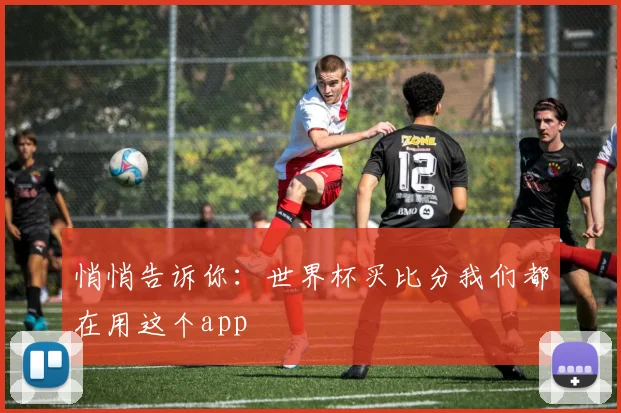 悄悄告诉你:世界杯买比分我们都在用这个app