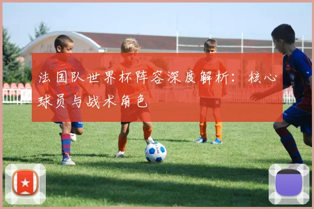法国队世界杯阵容深度解析：核心球员与战术角色