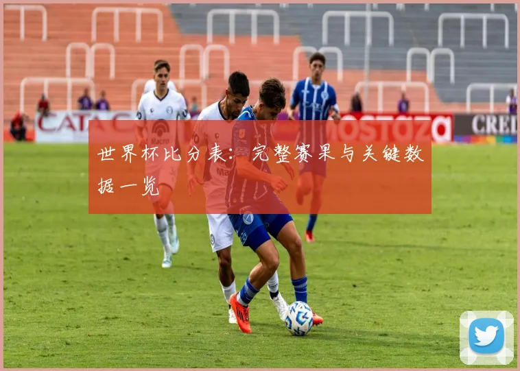世界杯比分表：完整赛果与关键数据一览