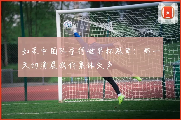如果中国队夺得世界杯冠军：那一天的清晨我们集体失声